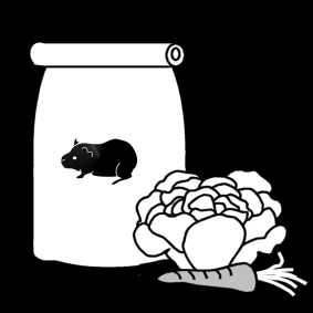 guinea pig food